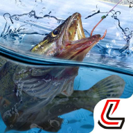 4166金沙登录手机版下载-4166金沙登录最新版下载v1.9